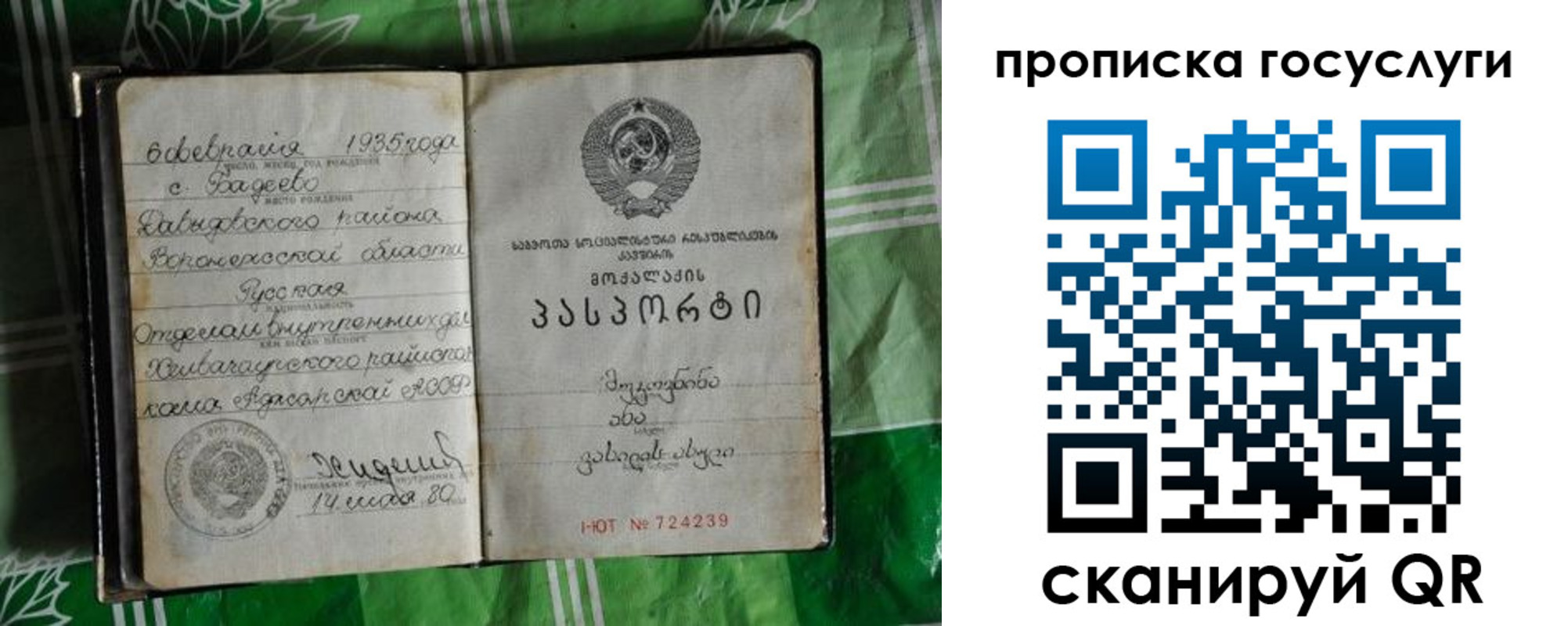 прописка паспорт в Стародубе